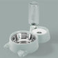 Dual Pet Food & Automatic Water Bowl Set
