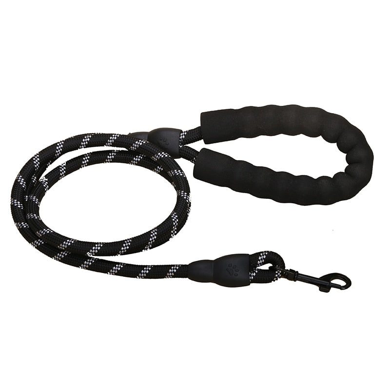Premium Quality Nylon Dog Leash