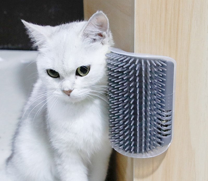 Pet Cat Wall Grooming Brush