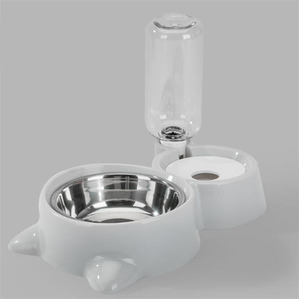 Dual Pet Food & Automatic Water Bowl Set