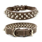 Rivet Spike Stud Pet Collar
