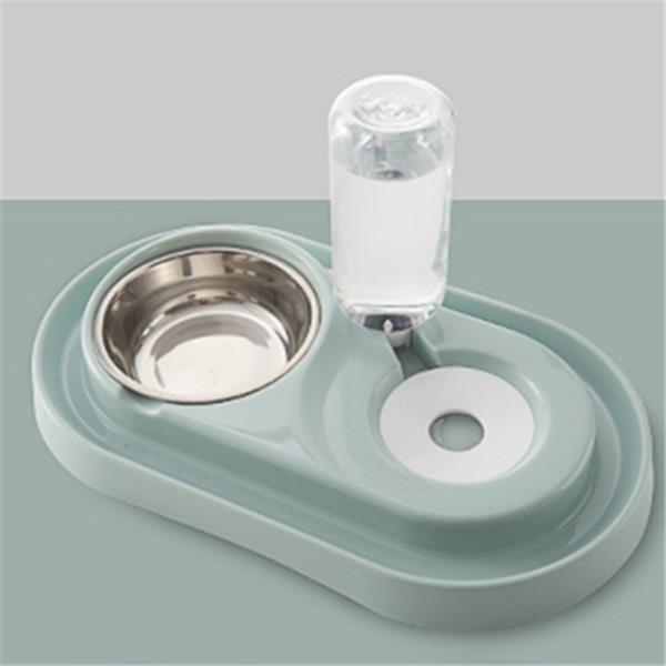 Dual Pet Food & Automatic Water Bowl Set