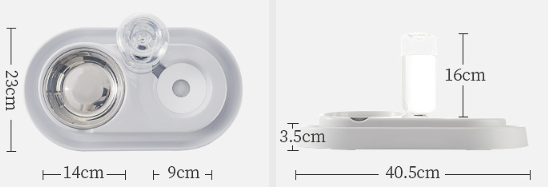 Dual Pet Food & Automatic Water Bowl Set