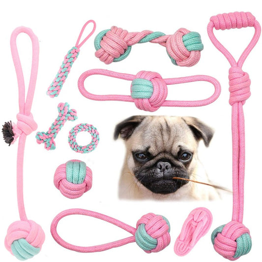 Pink Dog Chew Toys Variety