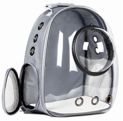 Cat Backpack Transparent Space Bag