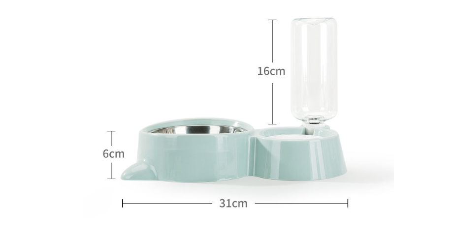 Dual Pet Food & Automatic Water Bowl Set