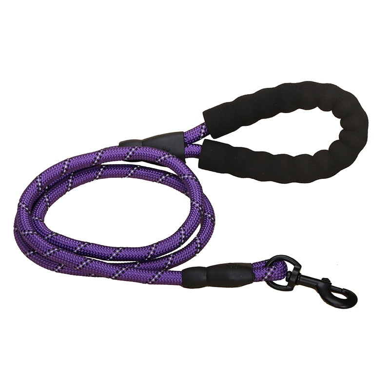 Premium Quality Nylon Dog Leash