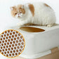 Covered Cat Litter Box with Top Entry