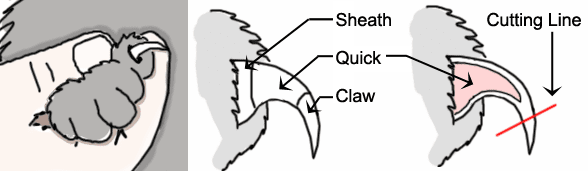 Pet Nail Clipper Scissors