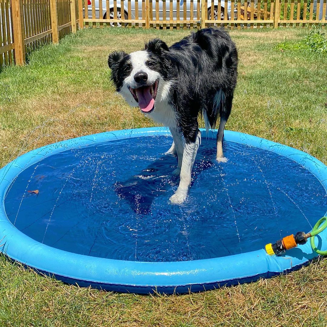 Dog Summer Sprinkler Pad