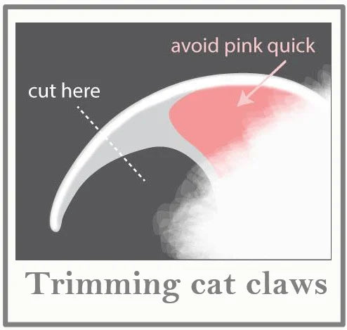 Pet Nail Clipper Scissors