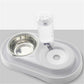 Dual Pet Food & Automatic Water Bowl Set