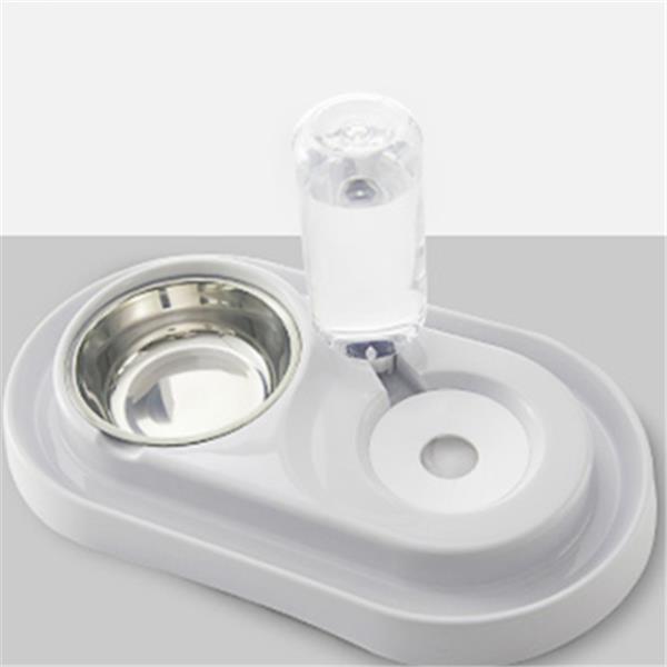Dual Pet Food & Automatic Water Bowl Set