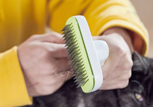 Self Cleaning Pet Brush Short or Long Hair