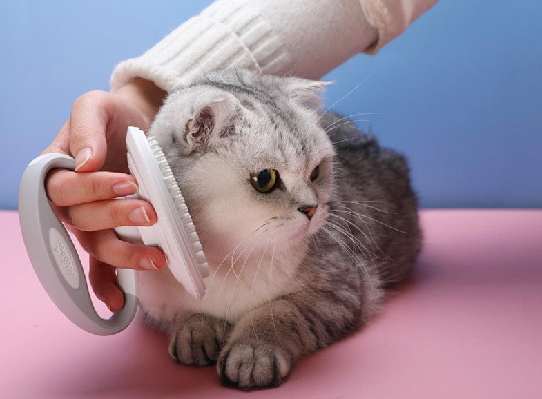 4 in 1 Pet Grooming Kit