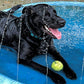 Dog Summer Sprinkler Pad