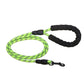 Premium Quality Nylon Dog Leash