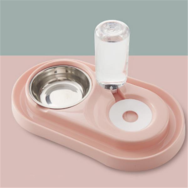Dual Pet Food & Automatic Water Bowl Set