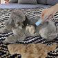 Dog Dematting Deshedding Grooming Tool
