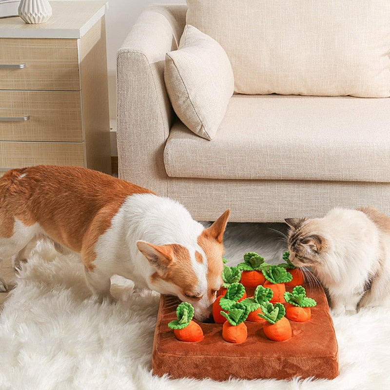 Vegetable Carrot Chew Puzzle Pet Toy