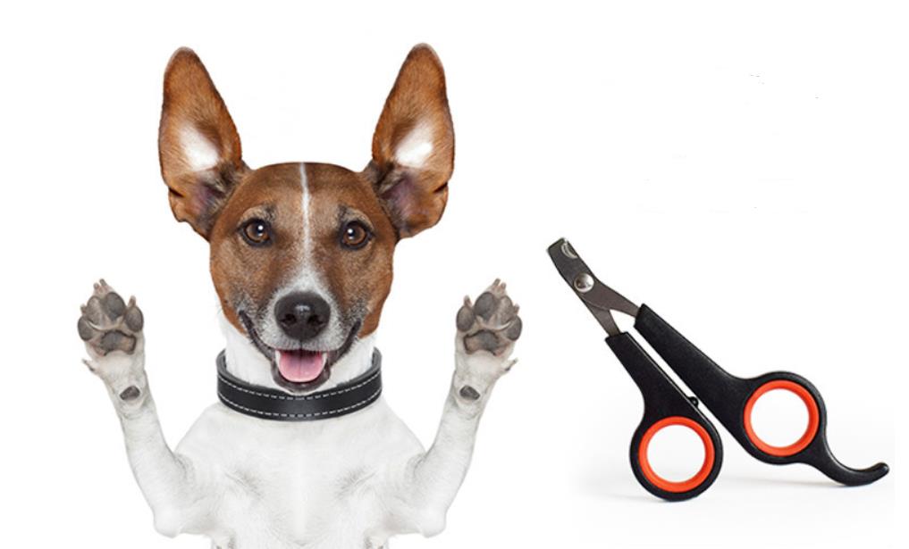 Pet Nail Clipper Scissors