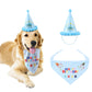 Pet Birthday Hat