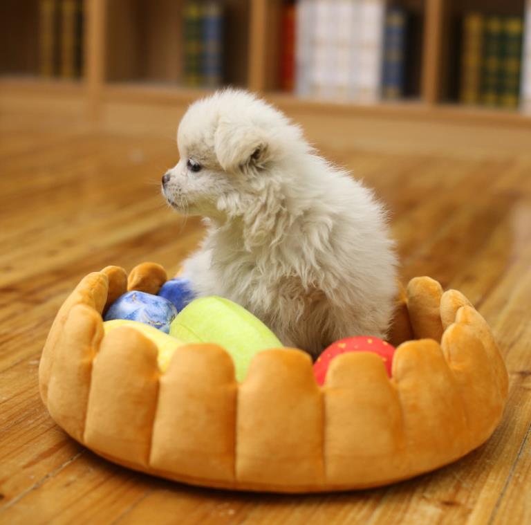 Plush Fruit Tart Pet Bed