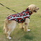 Large Small Dog Mesh Coat Jacket