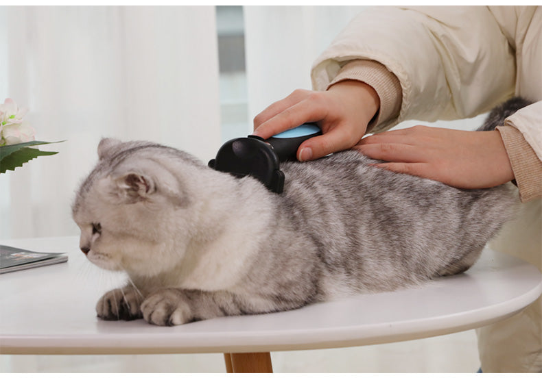 4 in 1 Pet Grooming Kit