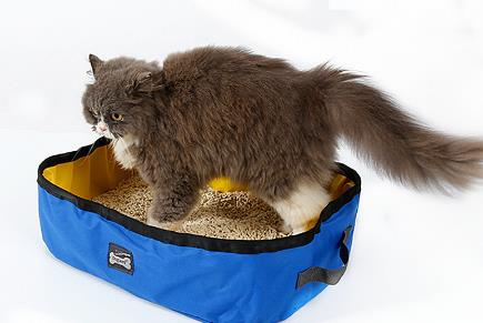 Folding Portable Cat Litter Box Toilet