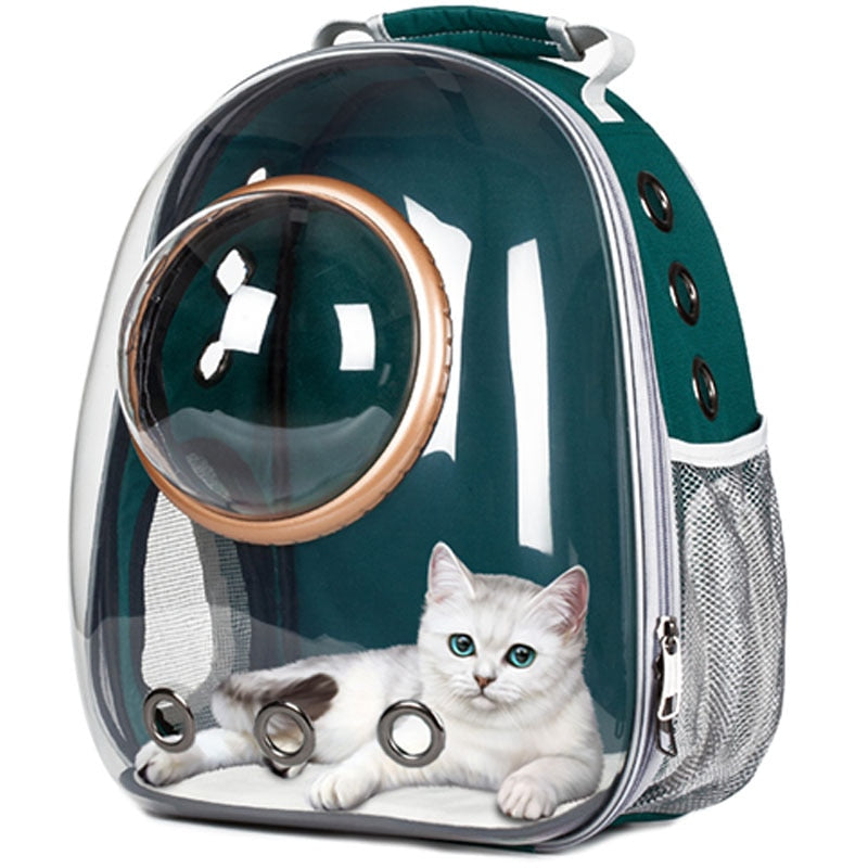 Cat Backpack Transparent Space Bag