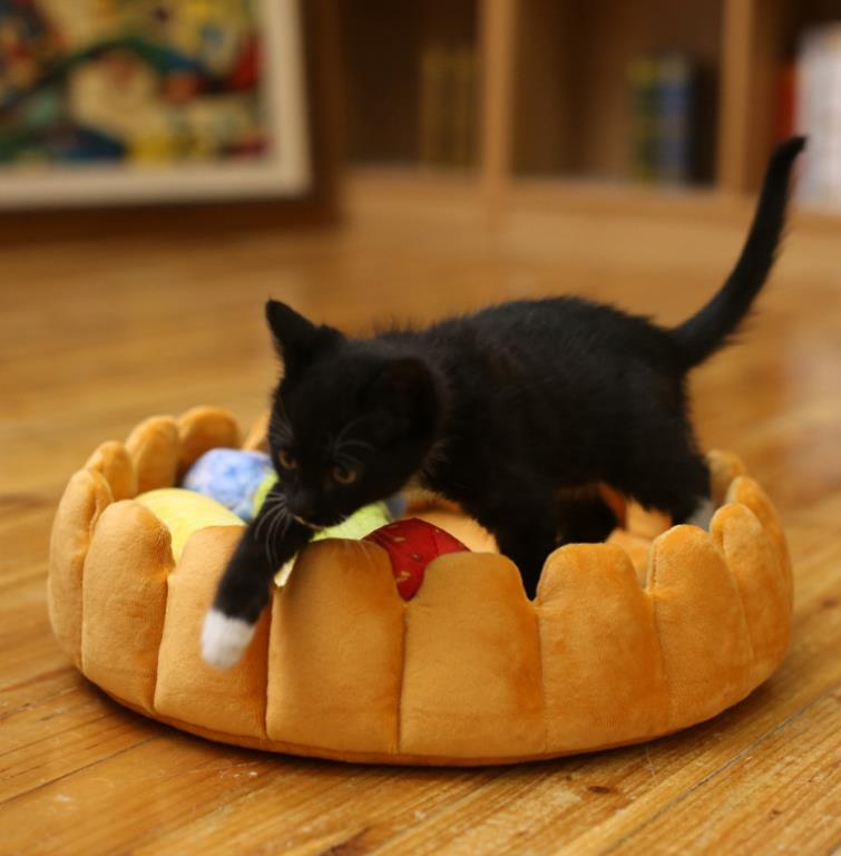 Plush Fruit Tart Pet Bed