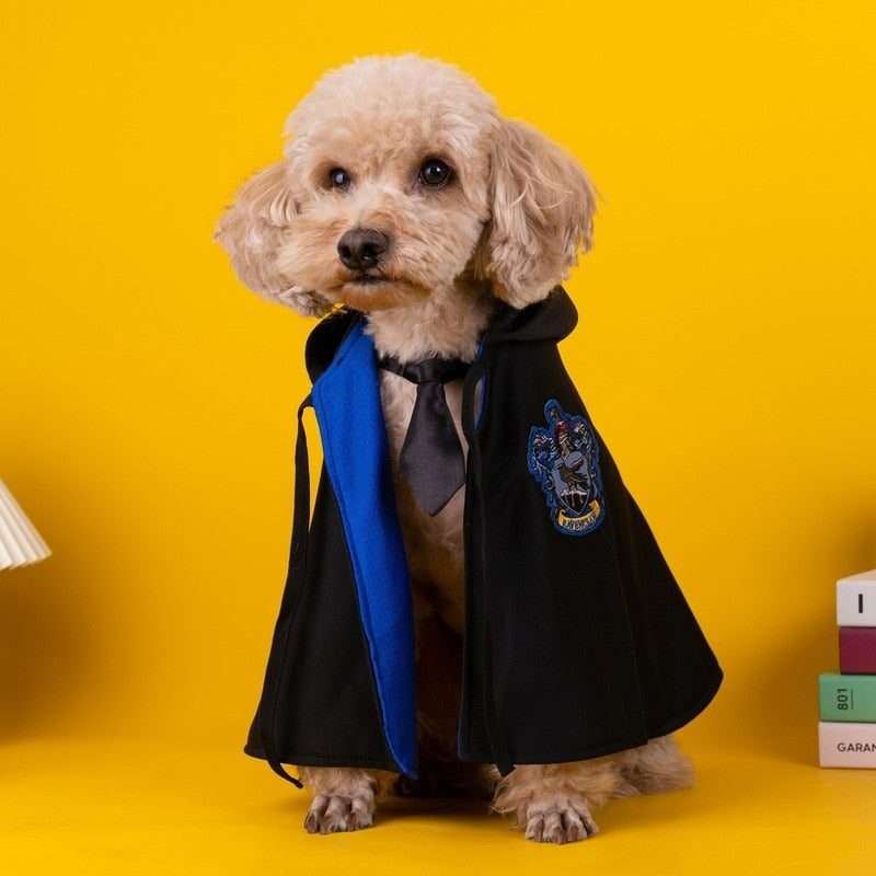 Potter Wizard Pet Cosplay Costume