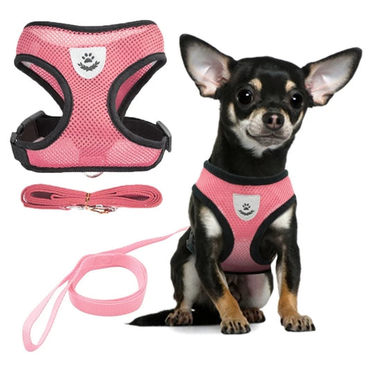 Adjustable Mesh Pet Harness + 1.2m Leash