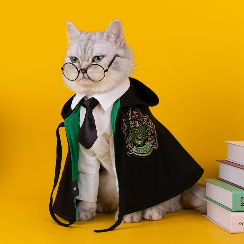 Potter Wizard Pet Cosplay Costume