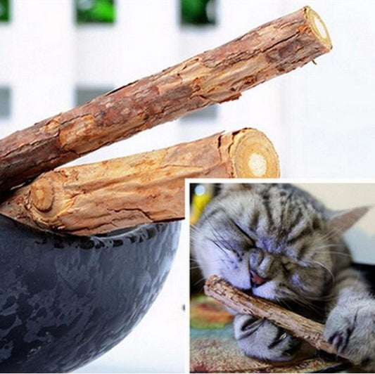 Catnip Chew Sticks Cleaning Molar Teeth Health