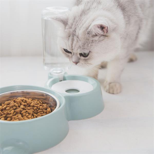 Dual Pet Food & Automatic Water Bowl Set