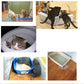 Covered Cat Litter Box with Top Entry