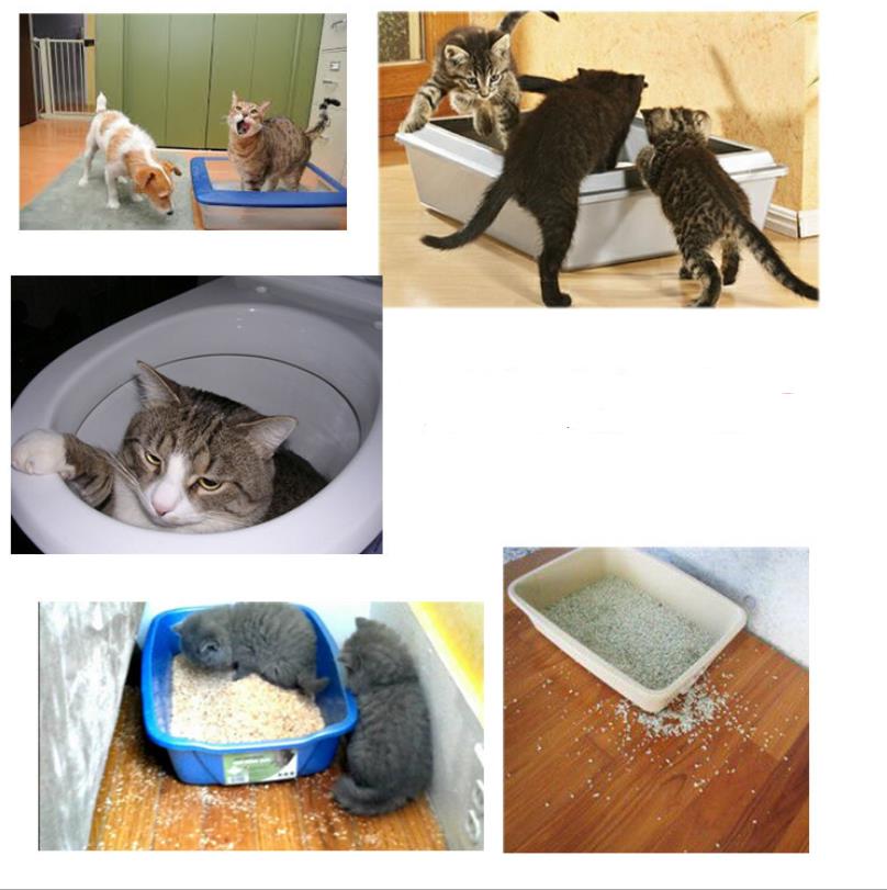 Covered Cat Litter Box with Top Entry