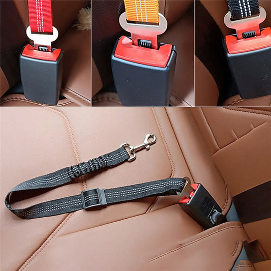Pet Dog Seat Belt Leash
