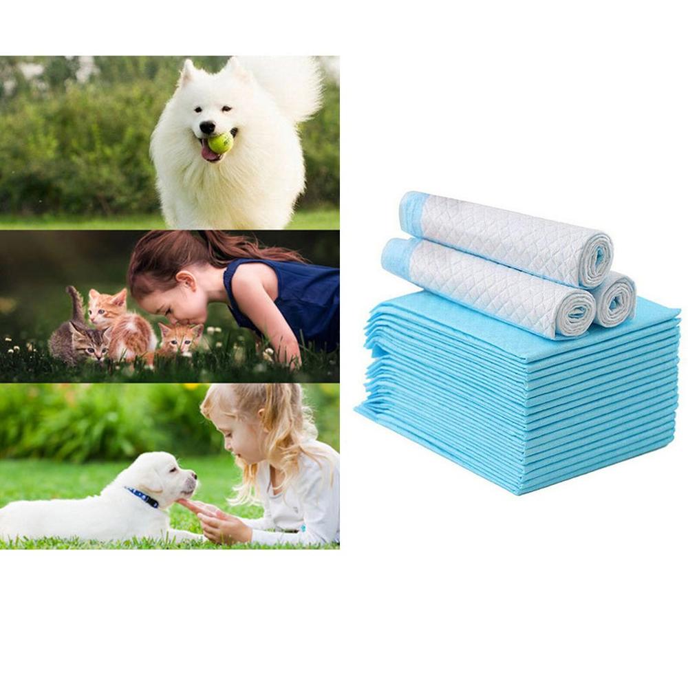 Disposable Absorbent Pet Dog Pee Pad Trainer Mat 20pcs