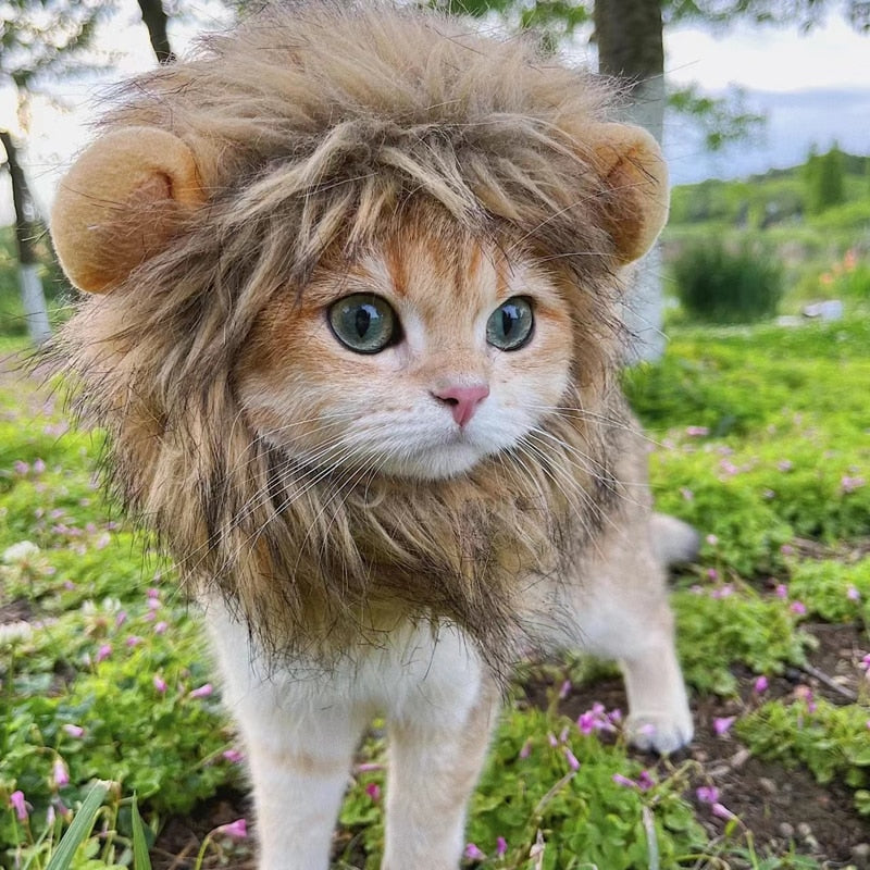 Lion Mane Cat Headpiece Costume